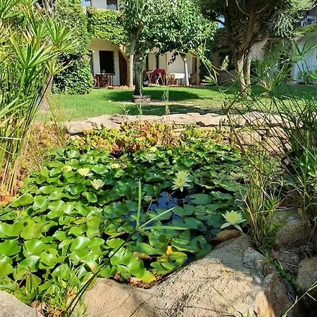 Apartment Sa Pedra